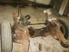 Olds Cutlass - 33
